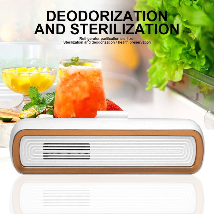 Refrigerator Odor Eliminator