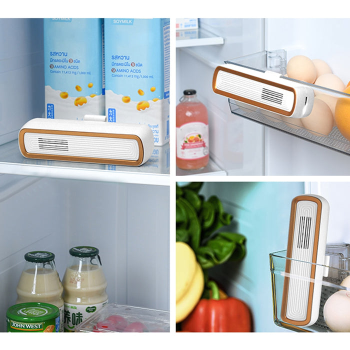 Refrigerator Odor Eliminator
