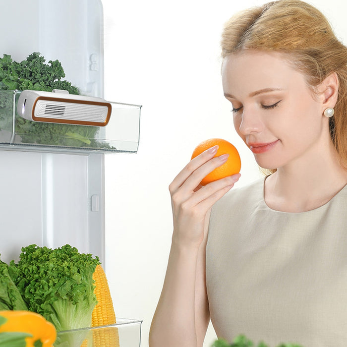 Refrigerator Odor Eliminator